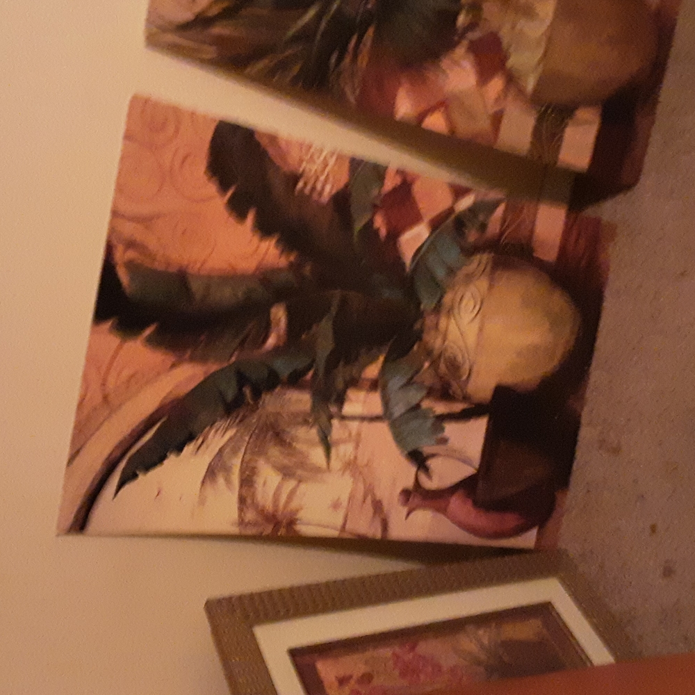 Very pretty pictures 2 of them